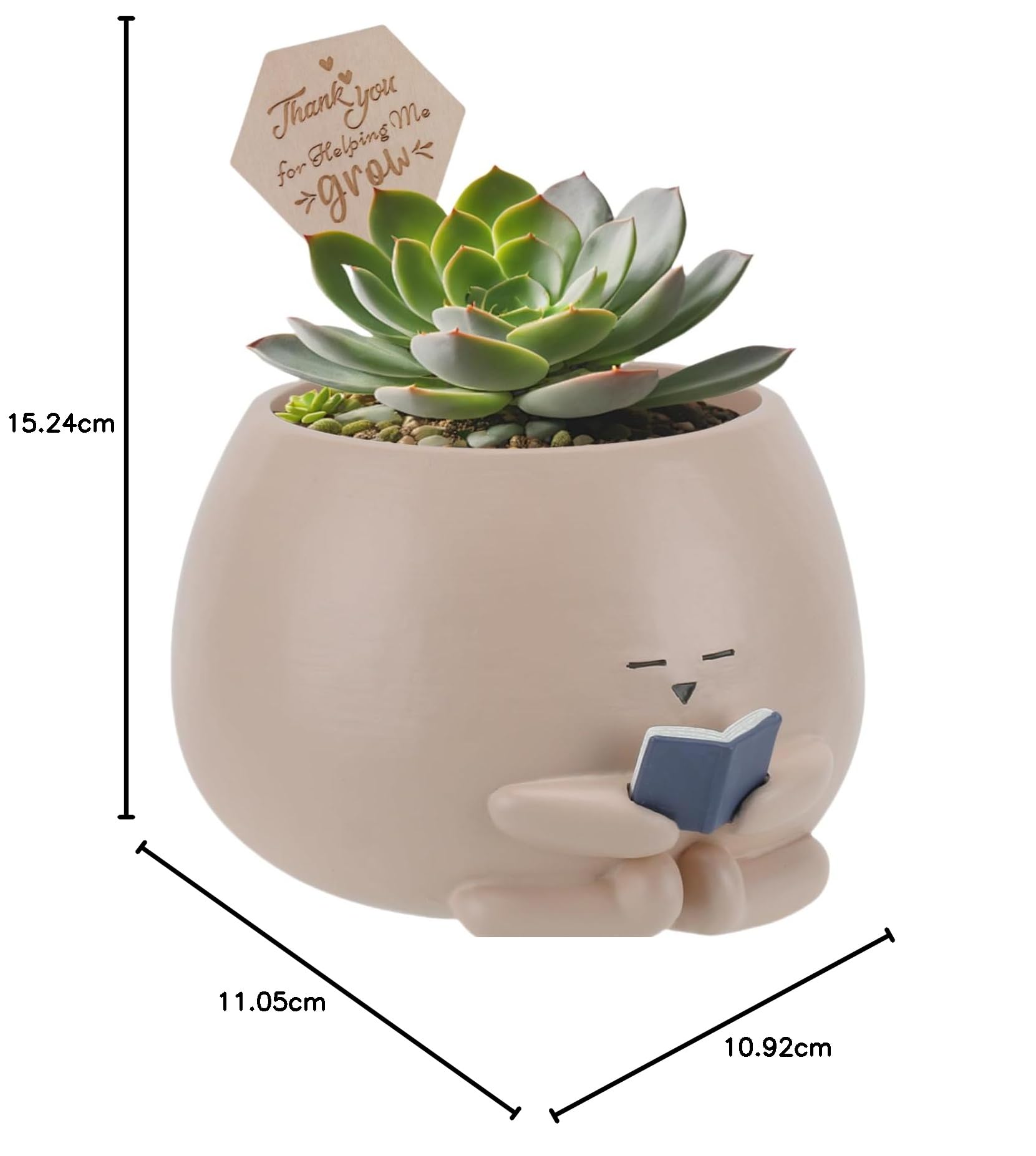 Maceta de gusano de biblioteca para regalo para amantes de los libros y las plantas con tarjeta de agradecimiento, regalo de apoyo emocional, regalo de agradecimiento para el día del padre