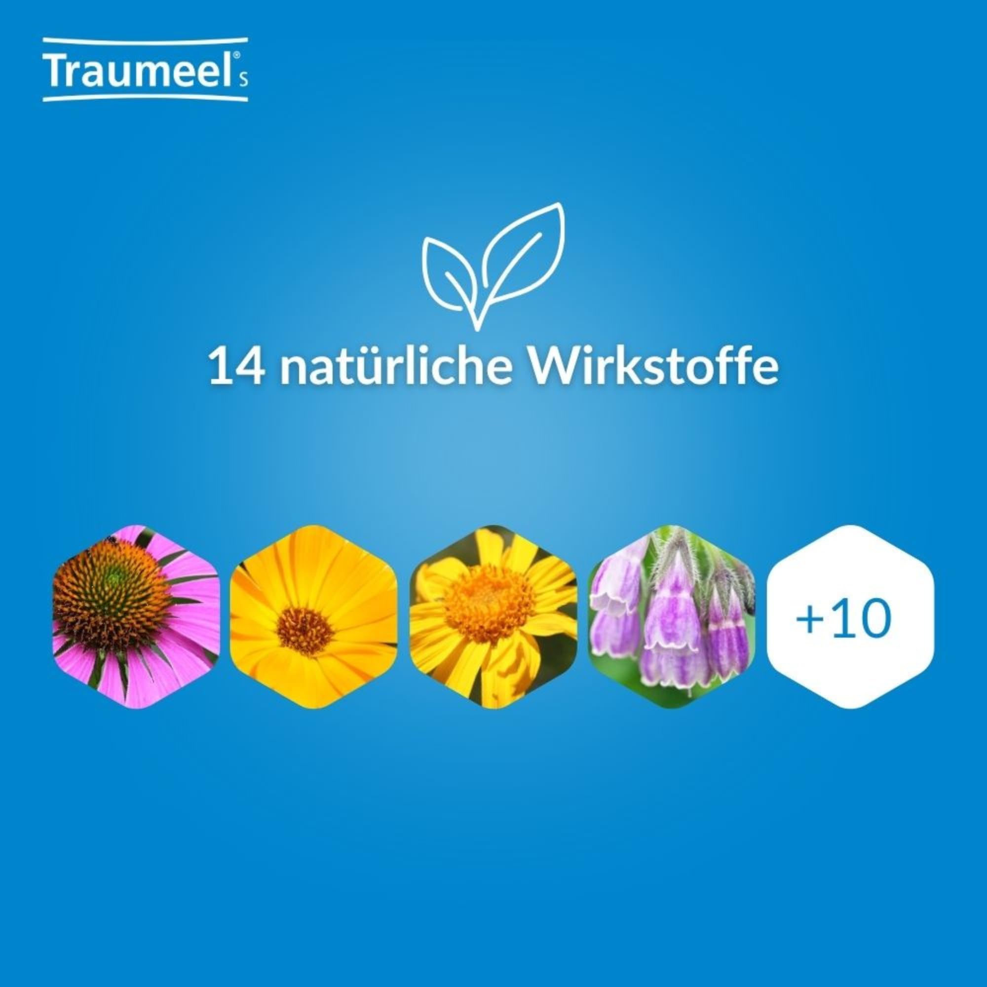 Traumeel Bundle Creme 100g + 50 Tabletten - Fit für Sport und Alltag mit der Kraft aus der Natur. Natürliches Arzneimittel zur Unterstützung der körpereigenen Regeneration. Für ein Leben in Bewegung!