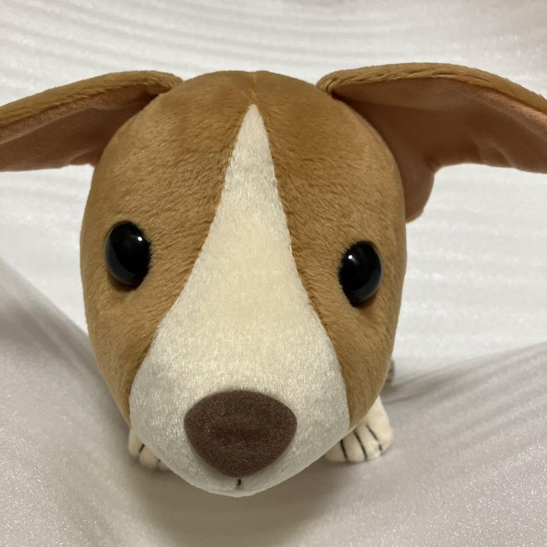 Amazon.co.jp: シナダ コーギー ぬいぐるみ SHINADA company