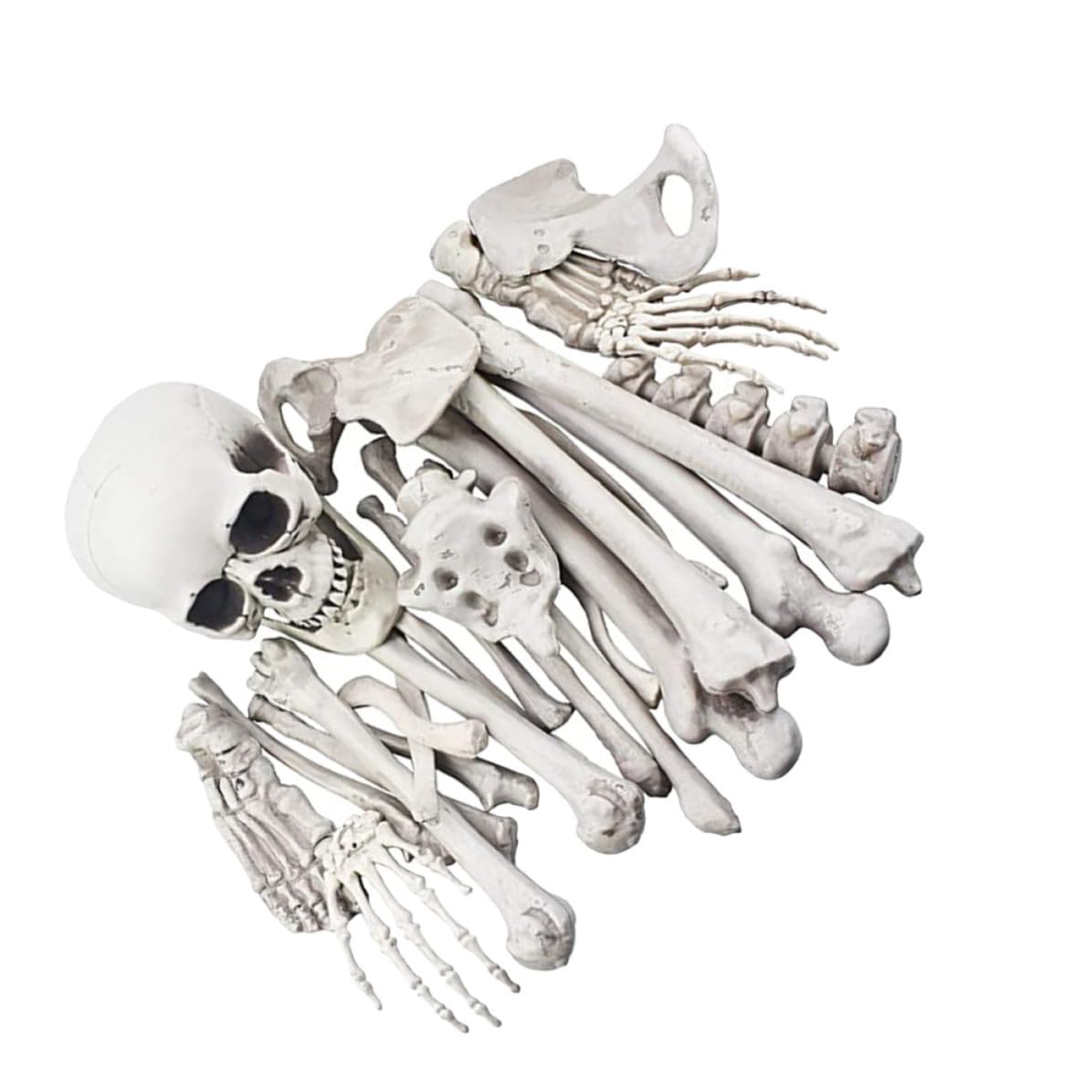 Os Blancs en Plastique Réalistes SHINEOFI pour Scène de Cimetière d'Halloween
