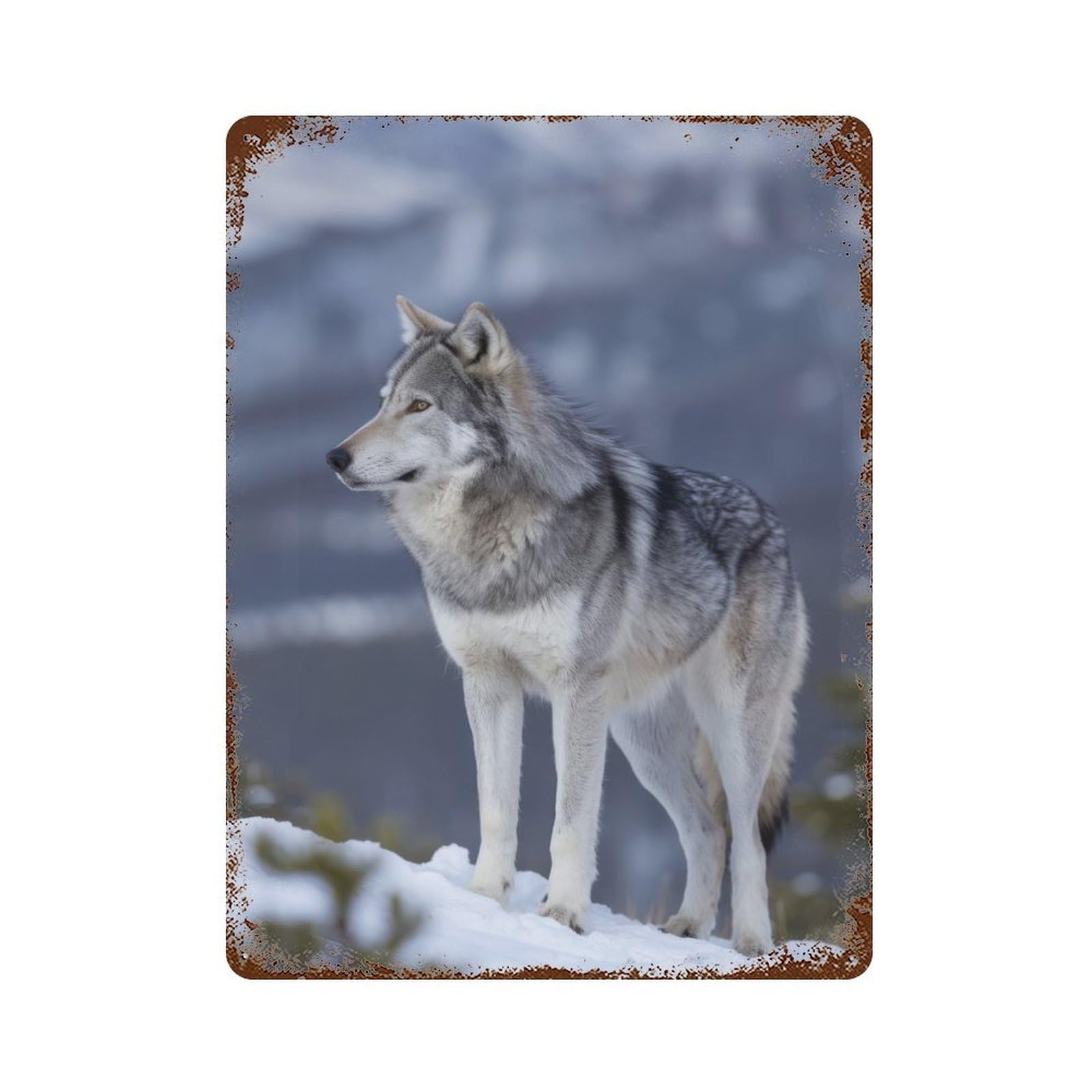 Vintage Rust Metal Sign Wolf in Snowy Landscape 15.7"x11.8", Shabby Chic Decor for Cafe, Home Bar And Lounge Decor