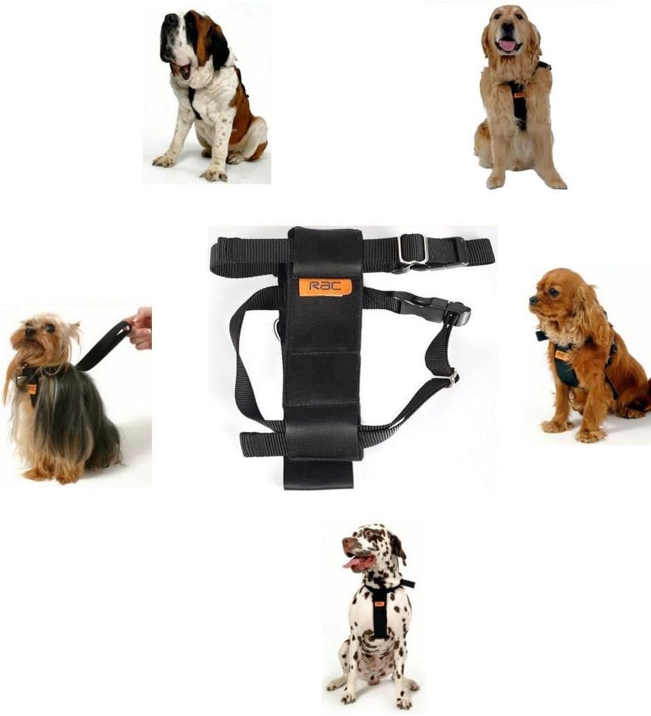 RAC Standard dog car harness, 3041 cm (1216") Chest Small Size