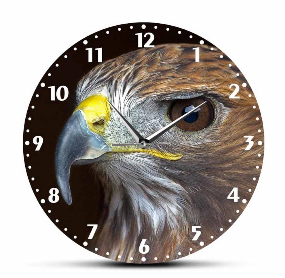 XUSANSHI 12 Inchs Silent Wall Clock Golden Eagle Prints Decorative Wall Clock Silent Non Ticking Bird Prey Nature Raptor Wall Art Home Decor Frameless Wall Watch