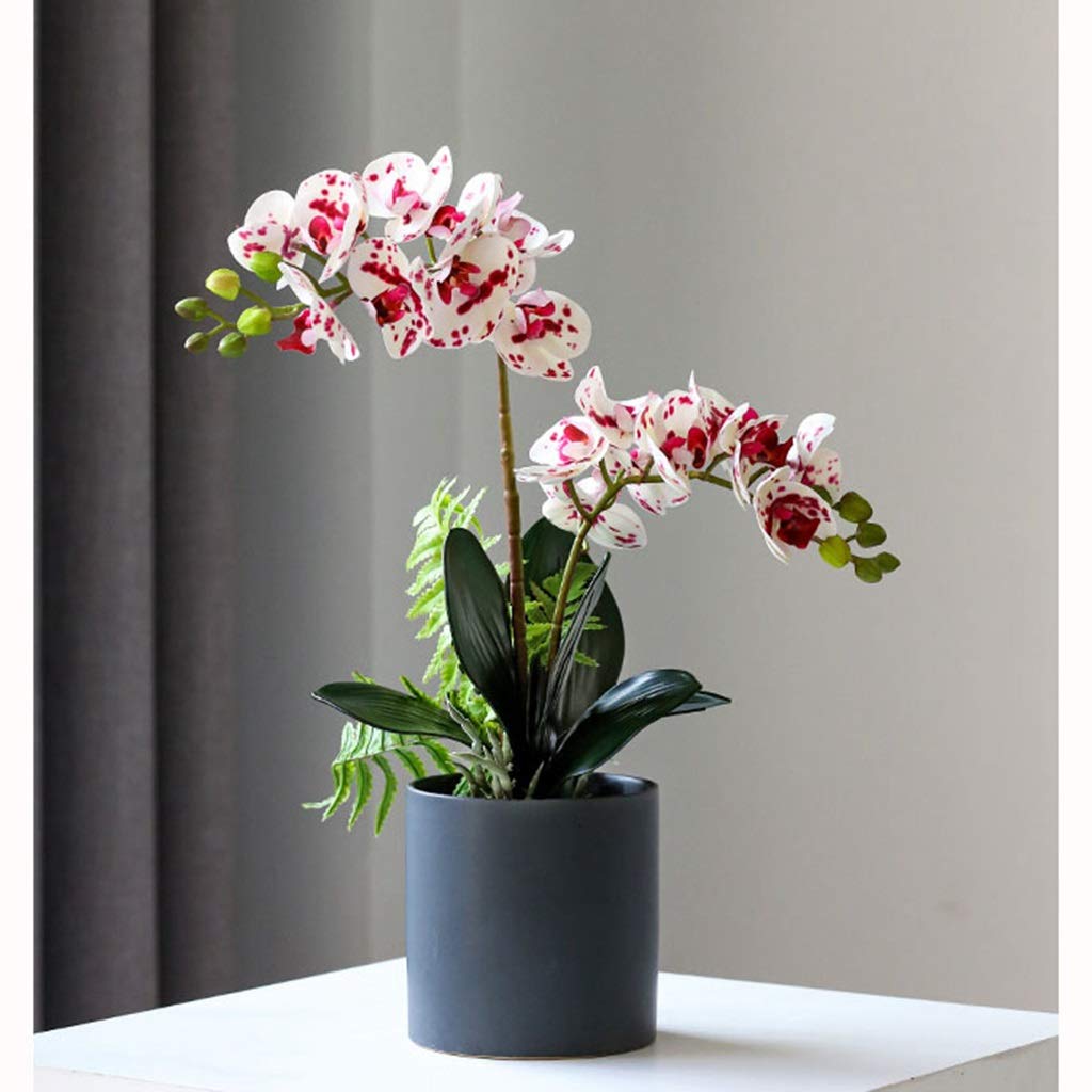 Composizione di Fiori Artificiali di Phalaenopsis, Orchidee Artificiali in Vaso, pianta di Fiori Artificiali per Matrimoni, Feste e Decorazioni per la casa. Decoraz