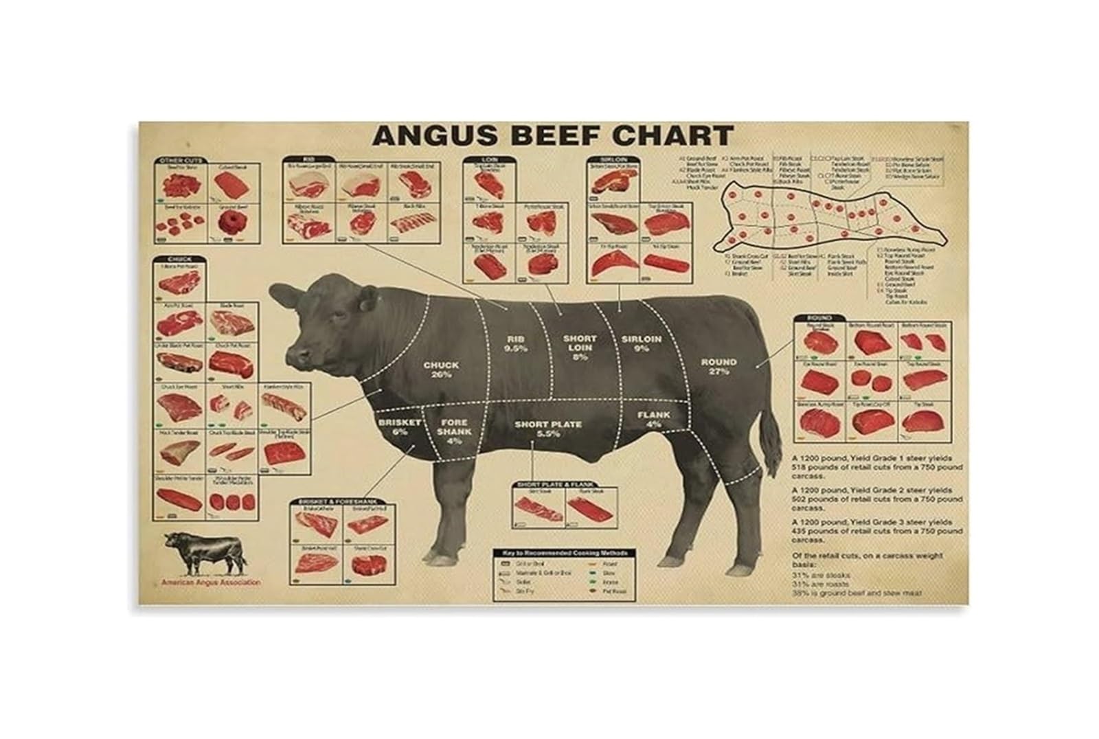 SSOPTMCB Meat Butcher Chart: Angus Beef Cuts - Aesthetic Canvas Wall-Art for Home Decor(Unframed,08x12inch(20x30cm))