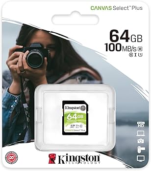 Kingston Cartão SDXC Canvas Select Plus de 64 GB | Até 100 MB/s