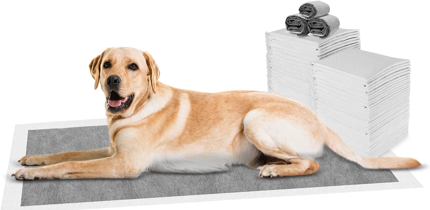 Carbon Large Puppy Training Pads Pack of 25, Super Absorbent Dog Pads, Odour Control Dog Pee Pad