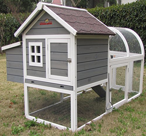 Pets Imperial® Charminster Kleiner Hühnerstall - Grauer Hühnerkäfig - Hühnerauslauf im Freien mit verstärktem Draht