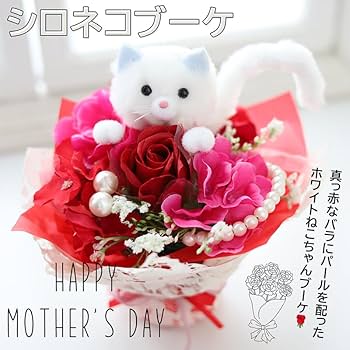 Amazon｜母の日のプレゼント人気 花 カーネーション 母の日 プレゼント