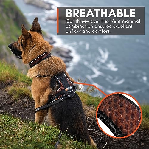 Non-stop dogwear Rock Harness Adjustable Dog Harness for Medium Dogs with 3 Leash Clips, Handle and Reflective, Black/Orange, Size M