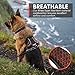 Non-stop dogwear Rock Harness Adjustable Dog Harness for Medium Dogs with 3 Leash Clips, Handle and Reflective, Black/Orange, Size M