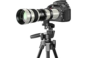 Nikon 800mm Telephoto Lens: Capture the Distant, Define the Moment