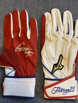 筒香嘉智 2018年使用モデル アディダス バッティンググローブ