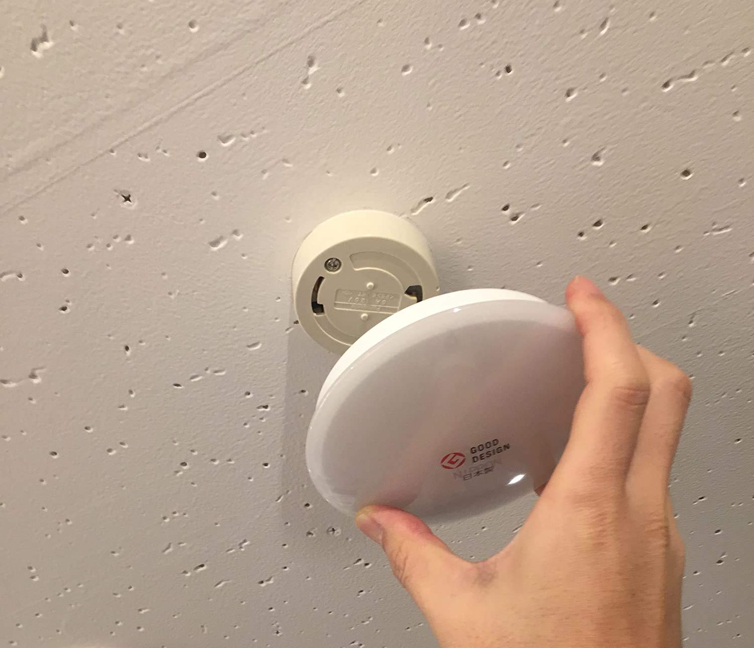 Amazon | スワン電器 薄型LEDミニシーリングライト 昼光色相当 2個