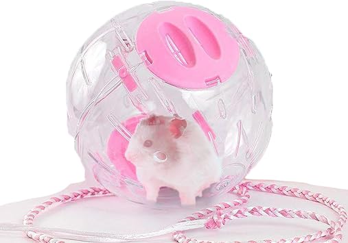 Hamster Ball with Leash, Small Pet Toys Ball | Small Animal Cage Accessories for Gerbil Mouse Running Exercising Hamster Mouse Gerbil