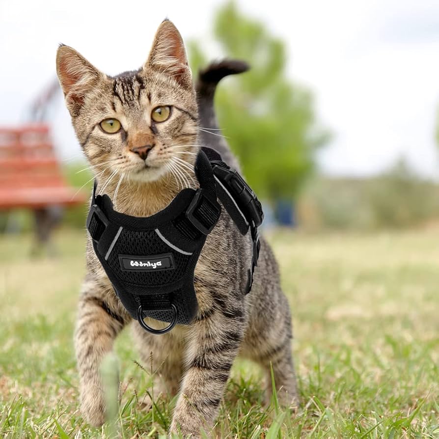 Kattsele Med Koppel, Rymningssu00e4ker, Kattkoppel, Set, Justerbar, Mjuk Kattsele Med Koppel, Rymningssu00e4ker, Kattkoppel, Set, Justerbar, Mjuk