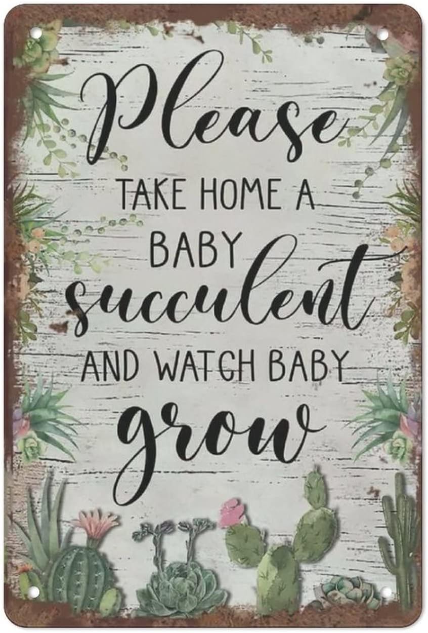 peiyeety Tin Hanging Picture Please Take Home A Baby Succulent Retro Tin Sign Succulent Lovers Gift Flower Wall Sign Plant Wall Art Garden Decor Farmhouse Decor Gift For Women 8"x12"