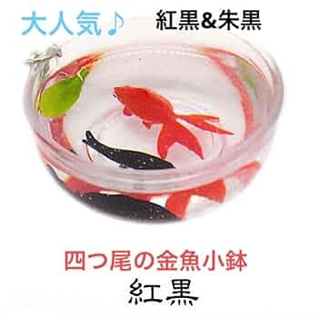 お重用　小鉢　赤（朱） 仕切り小鉢（18.0重箱用）4個セット Red – Bento&co 京都発弁当