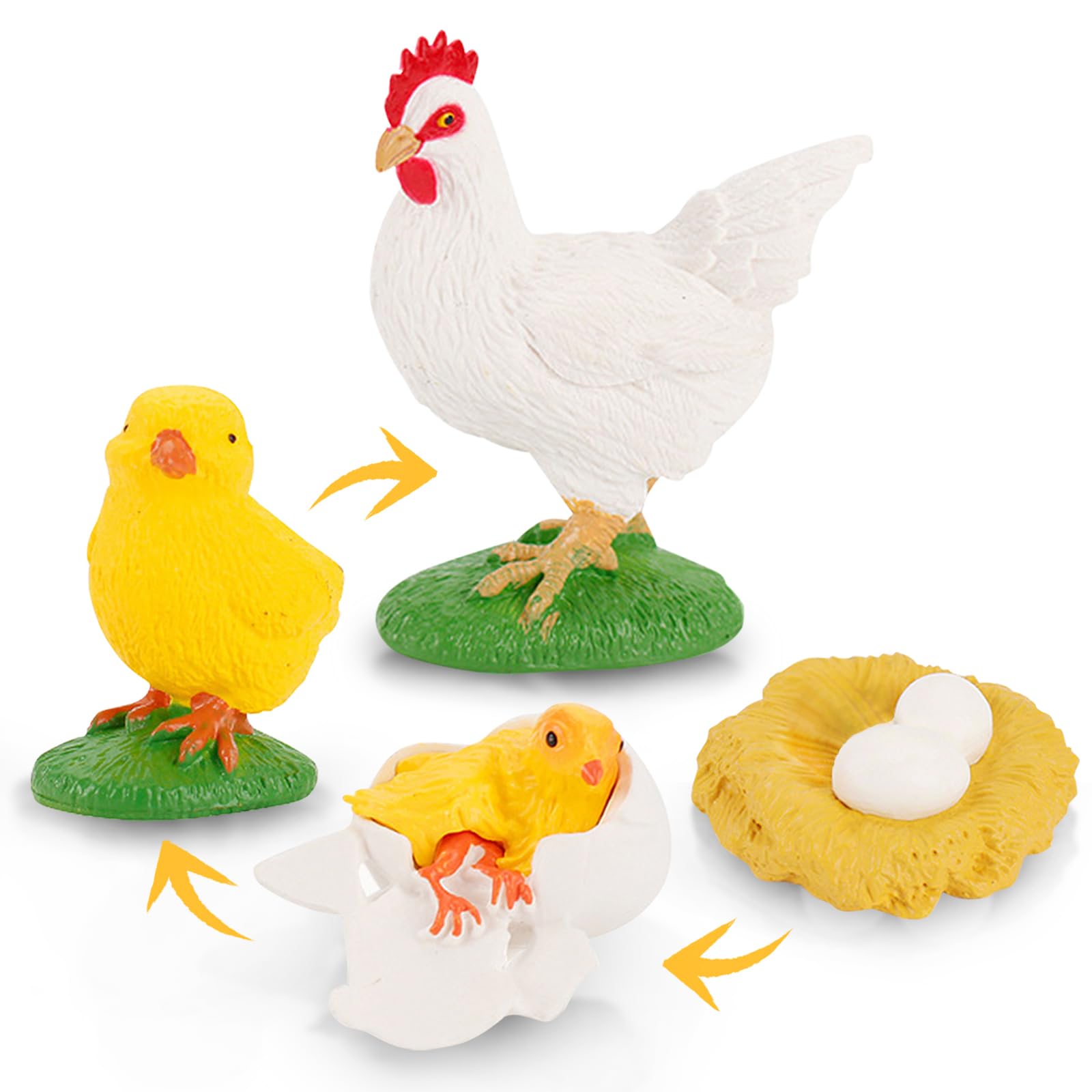 LC JoyCre Life Cycle Set Life Cycle of Chicken Toys Realistic Farm Animals Figurines Preschool Animals Figures Eduactional Project Diorama Model Toy for Kids