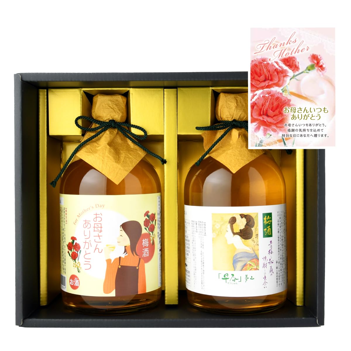 早春 梅酒2本セット