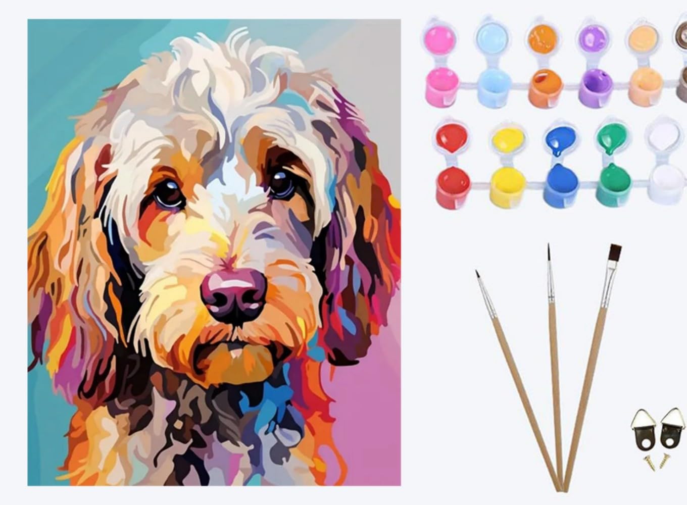 XIAOYOUQIAN Colorful Cute Poodle，Paint by Numbers for Adults, Painting by Number Kits On Canvas, DIY Color Oil Painting, Home Wall Decor 16x20in/40x50cm ，with Frame