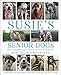 Susie's Senior Dogs