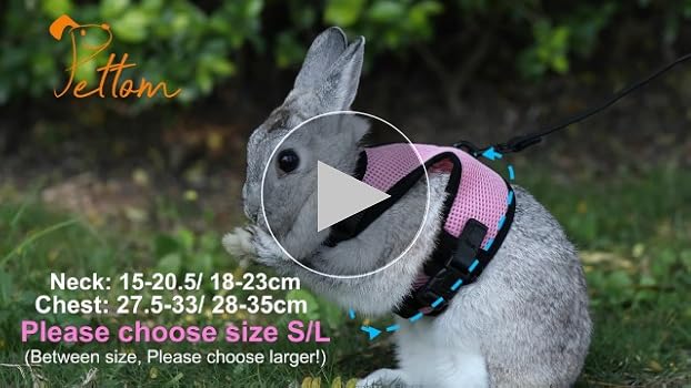 PET 5cm×5m 50cm/loop 可爱汪汪 Compact 5M Retractable Pet Leash – Hop & Bark