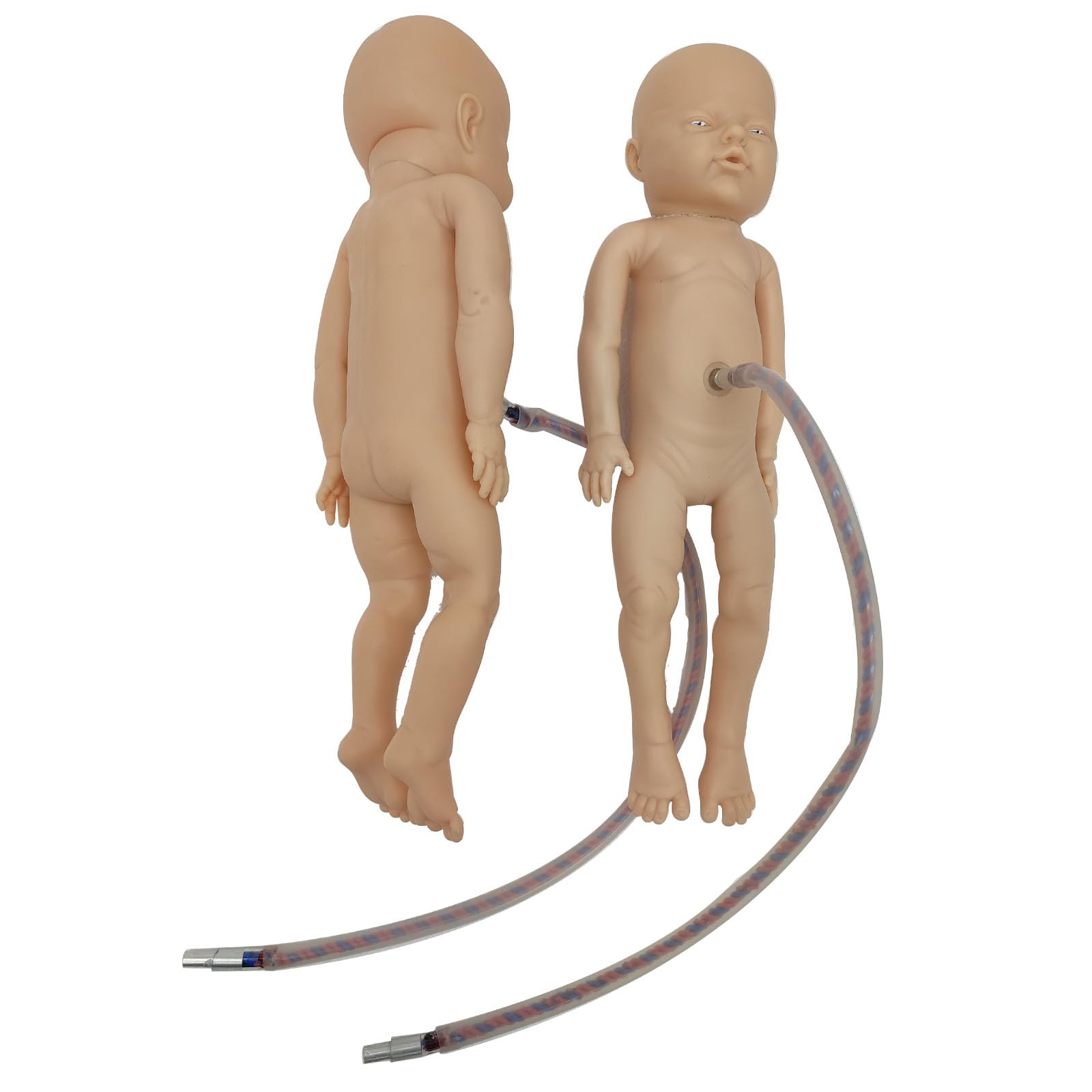Childbirth Comprehensive Skills Simulator Training Model Pelvic Anatomical Childbirth Delivery Parodynia Training Model with Two Fetuses (1 Male, 1 Female) Two Placentas for Gynecology Teaching