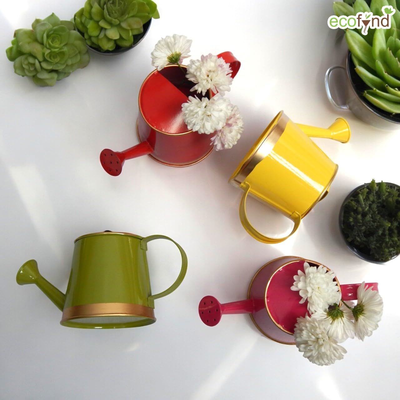 ecofynd 250 ml Mini Garden Watering Can for Plants for Kids (WC6: Kids with Gold Border, Green) 4