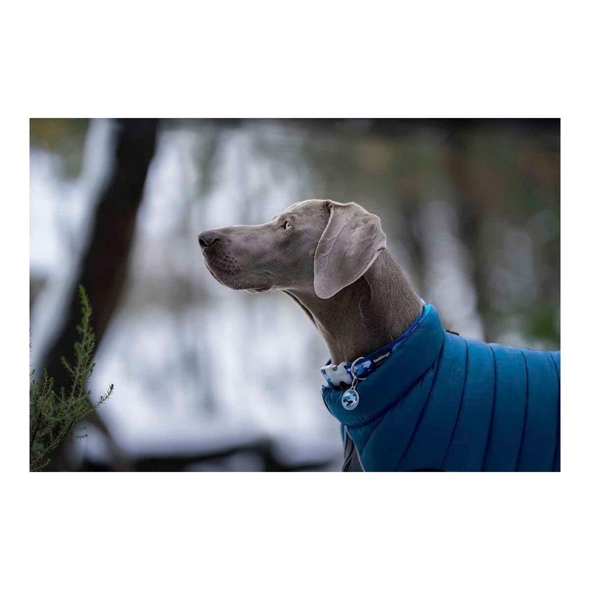 RED DINGO Abrigos y Chaquetas para Perros Abrigo Reversible Puffer Jachet