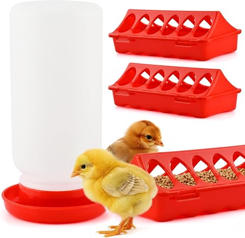 Anscuto four-piece quail chick feeder and waterer kit with three 12-hole feeders