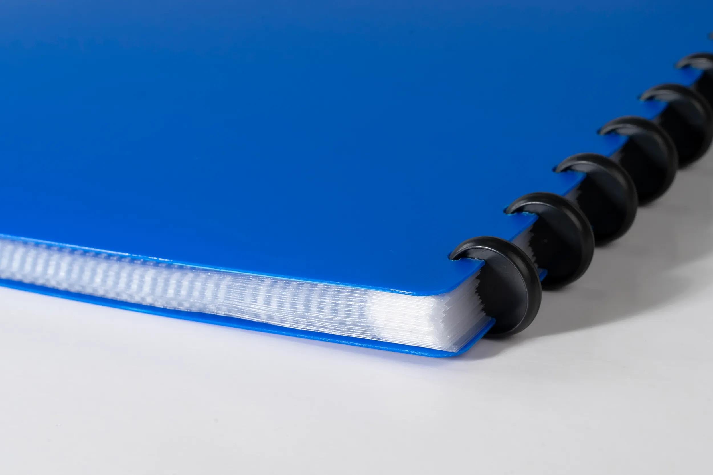 Exacompta - Rif. 86362E - Cartone da 4 portadocumenti rimovibile ad anelli, con 30 tasche a grana staccabili, 60 viste, per A4, dim 24,5 x 31 cm, copertina rigida opaca, colore blu