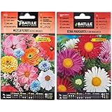 Mezcla Flores ALTAS anuales & Reina Marg. FLOR MARGARITA