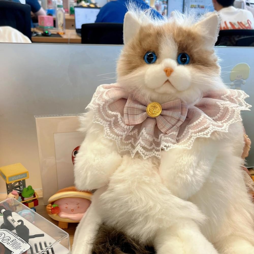 Amazon.co.jp: Deronder猫ぬいぐるみ 本物そっくり リアルな猫型