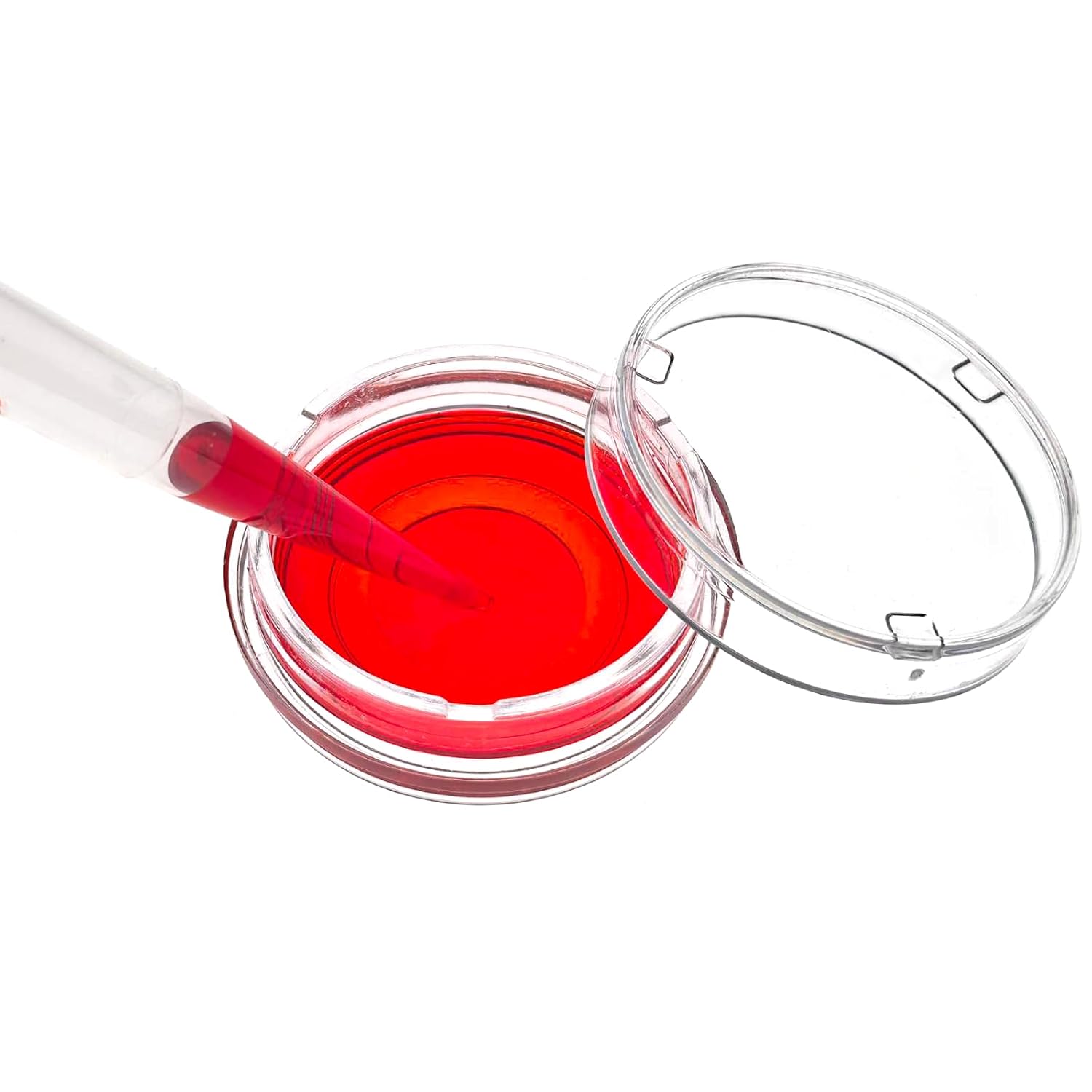 Glass Bottom Cell Culture Dish - 35mm Confocal Dish, TC Treatment, Sterile, Optically Clear Glass Hole Dia.15mm, Individually Wrapped, 100Pcs/Box (150mm)