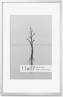 Vista 638 de Fun Memories Portarretratos de metal de 16 x 20 pulgadas con paspartú de 11 x 14 pulgadas, acabado de aluminio cepillado, parte delantera de vidrio