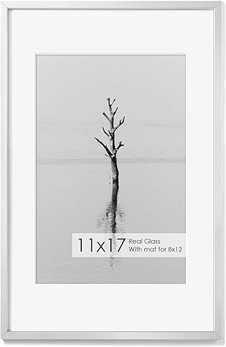 Miniatura 638 de Fun Memories Portarretratos de metal de 16 x 20 pulgadas con paspartú de 11 x 14 pulgadas, acabado de aluminio cepillado, parte delantera de vidrio