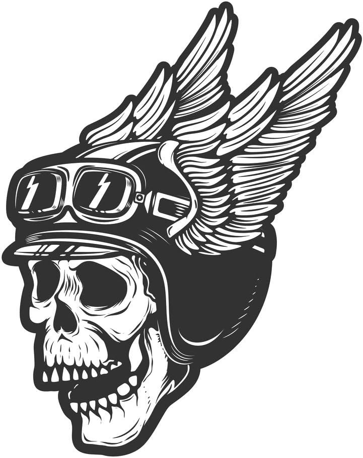 5 Ace Flying Skull Helmet Sticker Motivational Poster About Life (Paper; Multicolour)