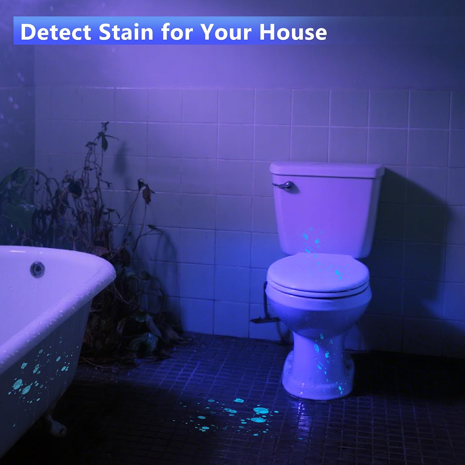 WINDFIRE Black Light Flashlight 365nm, UV Flashlight Rechargeable with LCD Display, 30W High Power Blacklight for Pet Urine Detection, Rocks, Scorpions, Resin Curing, Blood Tracking, Uranium Glass