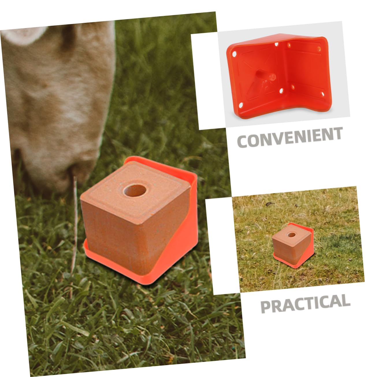 HEMOTON Salt Brick Feeding Tray for Sheep Livestock Salt Holder Easy to Assemble for Farm Use