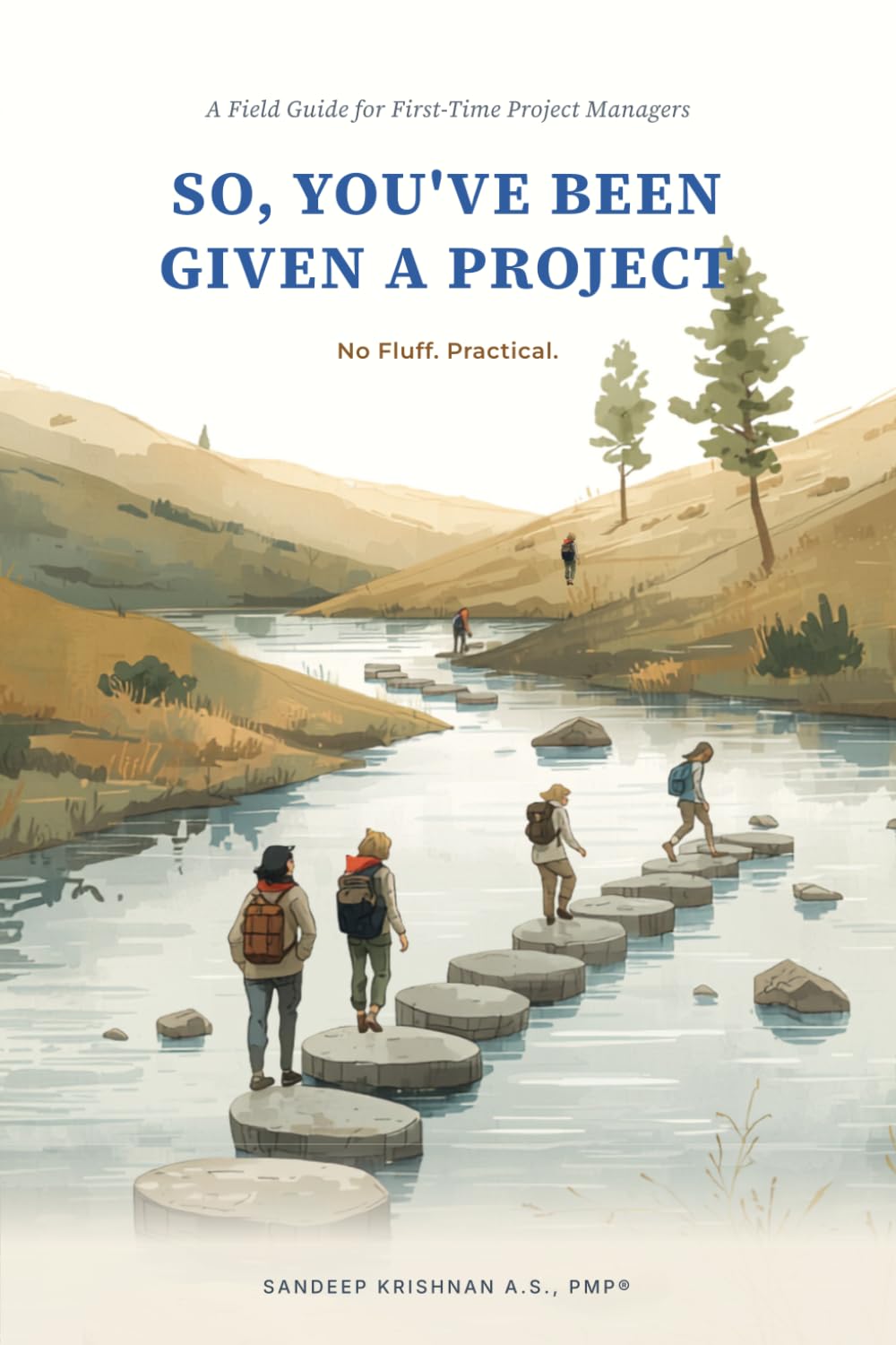 So, You've Been Given a Project
