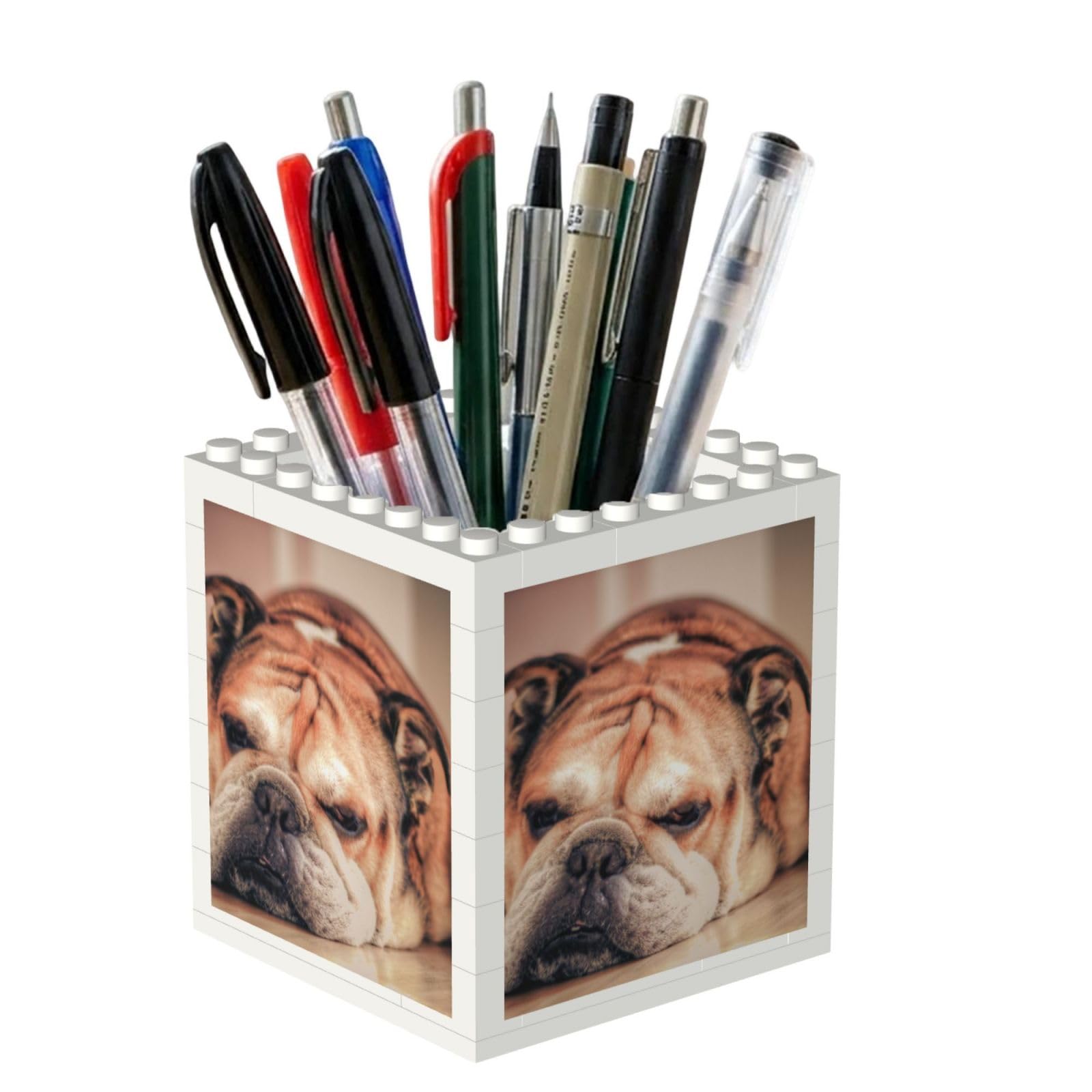 Poadnly English Bulldog, Pen Pot Pencil Holder for Office Home School, Compact Desk Organiser for Office Stationery