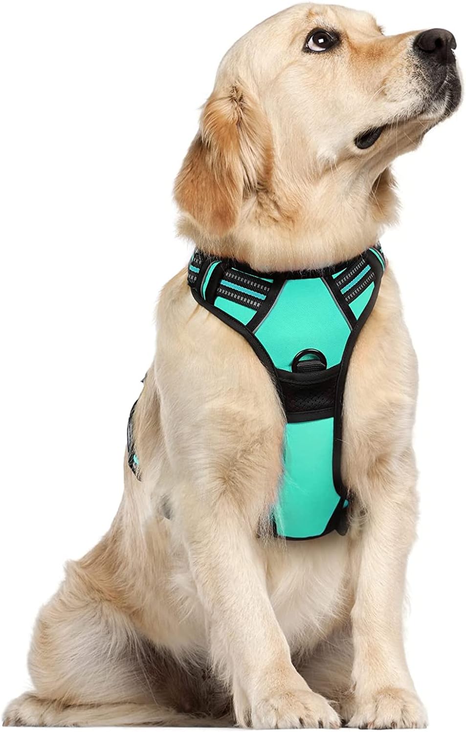 rabbitgoo No Pull Dog Harness Small, Front Clip Pet Vest Harness with