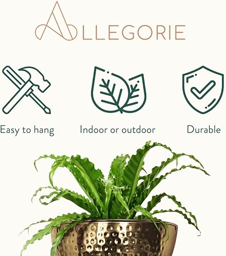 Miniatura 5 de Allegorie Maceta de pared de metal, maceta colgante para interiores o exteriores, decoración de granja y decoración de cocina bohemia para hierbas y