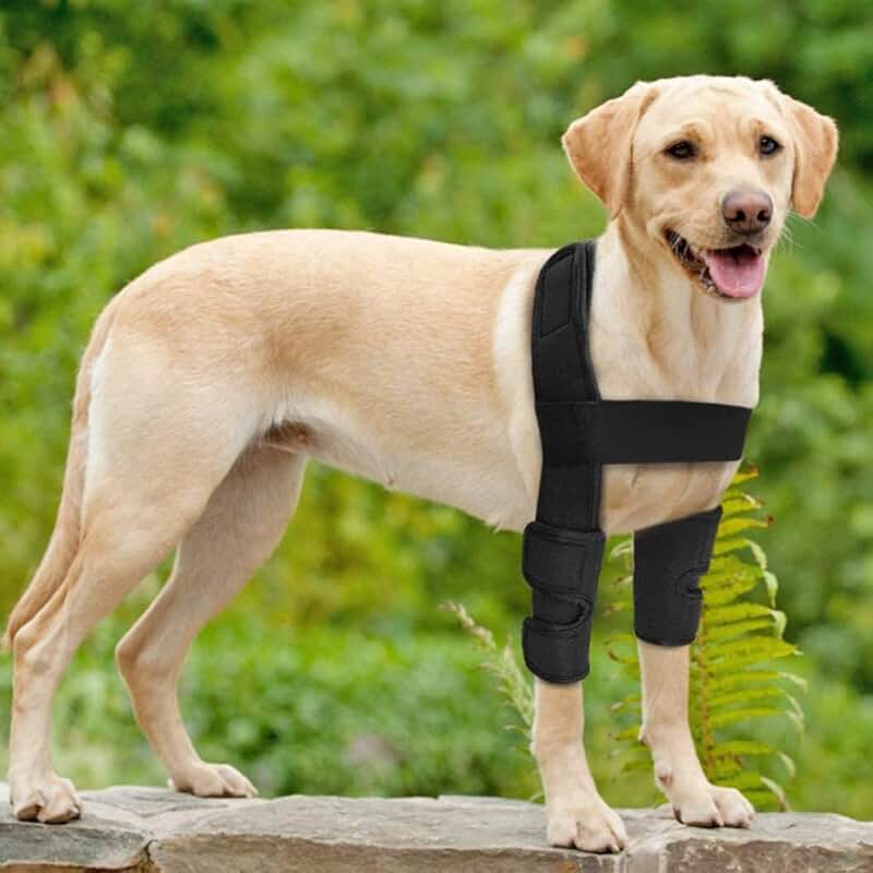 Amazon.co.uk dog leg brace