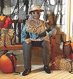 Animated Life-Sized Pop-Up Sleeping Scarecrow Candy Bowl Holder Halloween Decoration Gotcha Figure 54''H, 1.0 Count