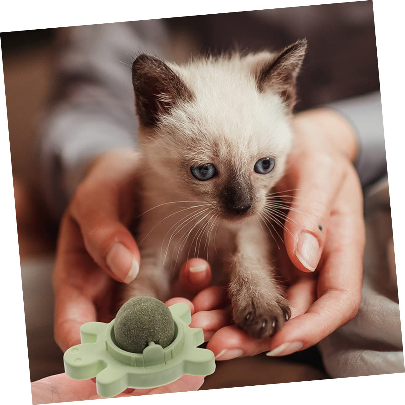 YARNOW Lot De 4 Jouets Interactifs Rotatifs Comestibles À Lécher pour Chats À La Menthe pour Chat pour Lintérieur pour Plantes