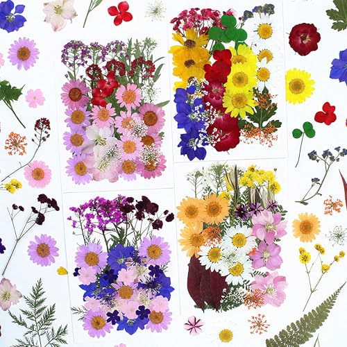140PCS Dried Pressed Flowers Set, Real Natural Dry Flowers for Crafts, Resin, Candle, Soap, Nails and Scrapbooking Pressed Flowers and Leaves Kit for DIY Art, Jewellery and Handmade Decoration