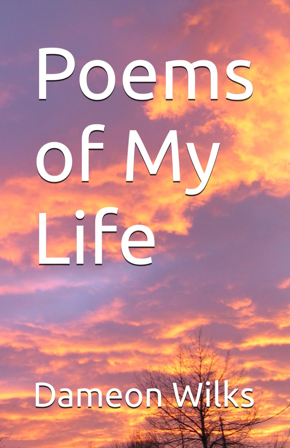 Poems of My Life (This is Me)