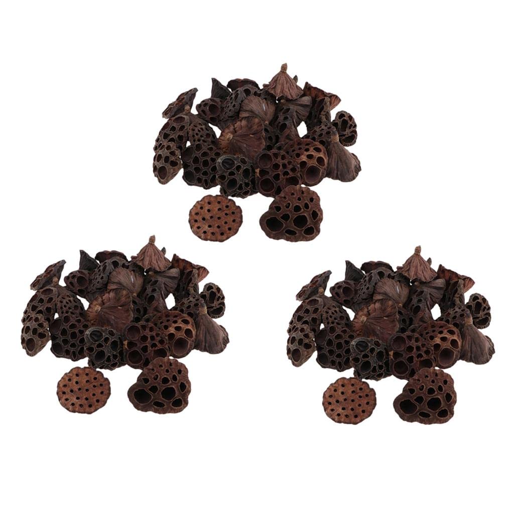3 X 30 Pièces de Gousses Séchées Naturelles, Fleurs et Fruits pour